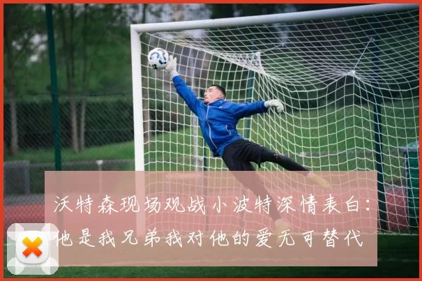 沃特森现场观战小波特深情表白：他是我兄弟我对他的爱无可替代