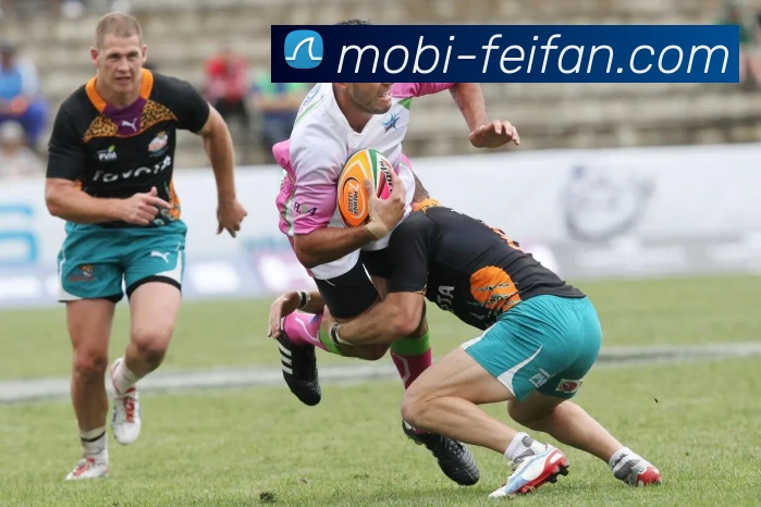 非凡娱乐服务体系